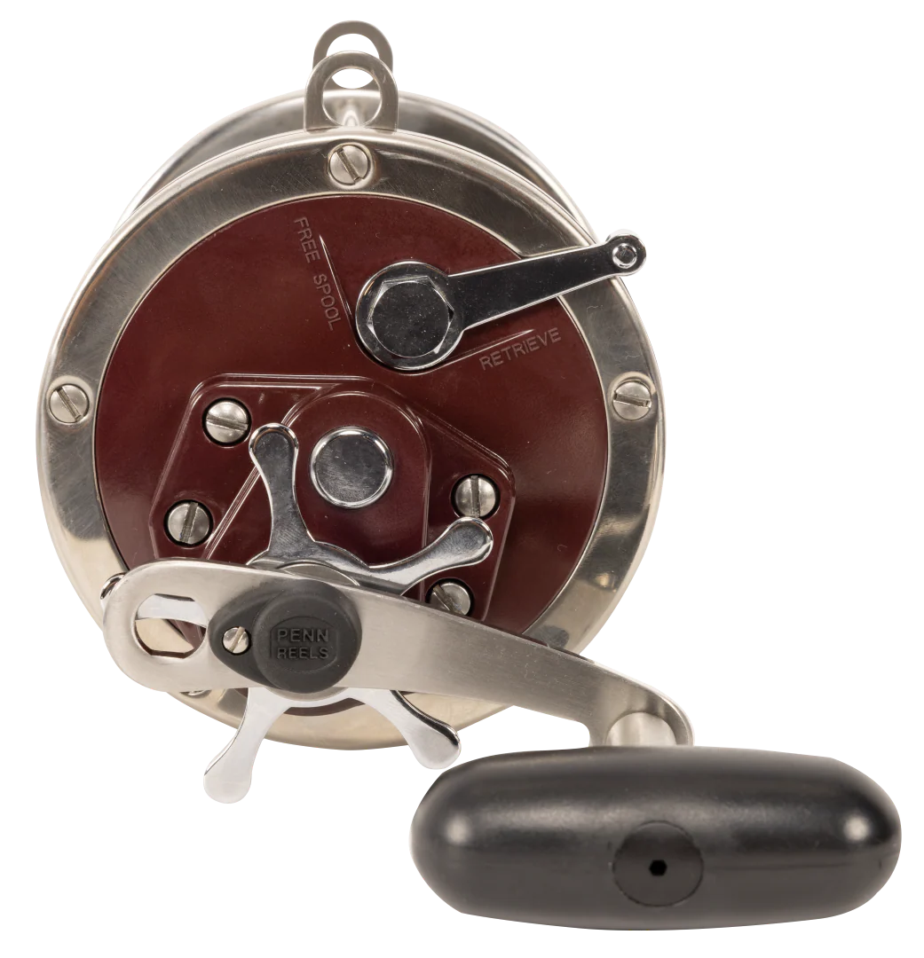 Penn Special Senator 114H2 6/0 Overhead Reel - Image 3