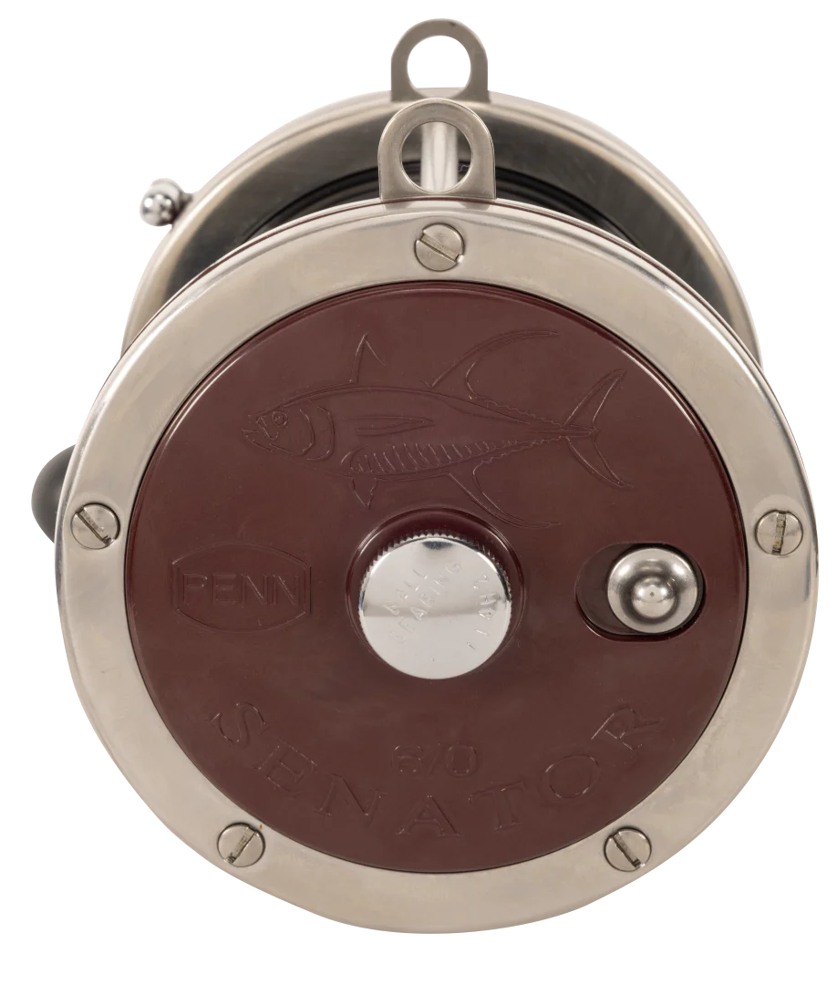 Penn Special Senator 114H2 6/0 Overhead Reel - Image 4